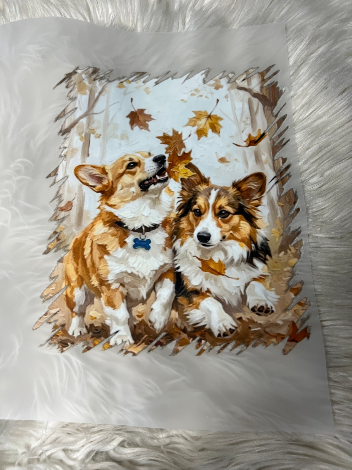 New DTF corgi fall