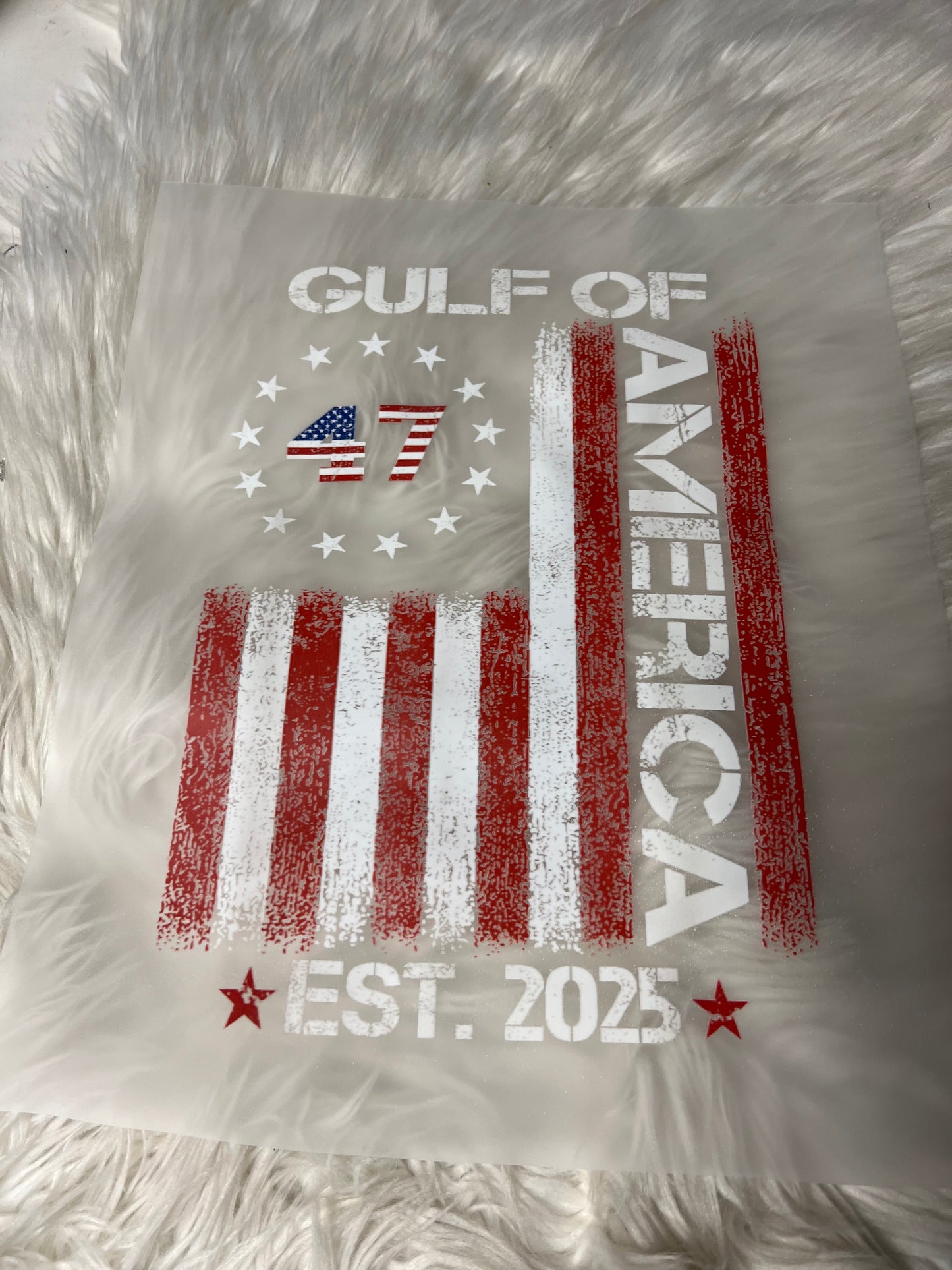 DTF print gulf of America, 2025