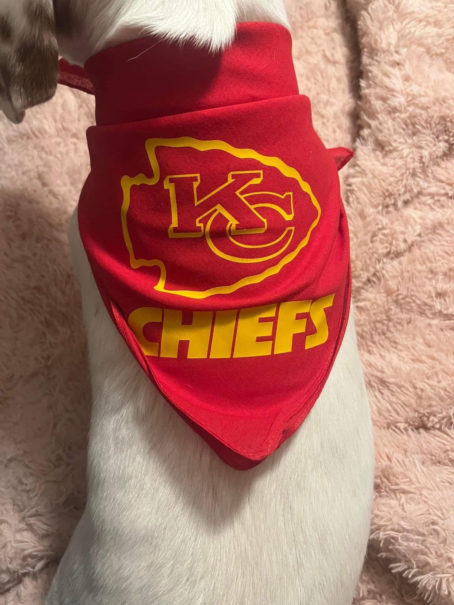New dog bandanna