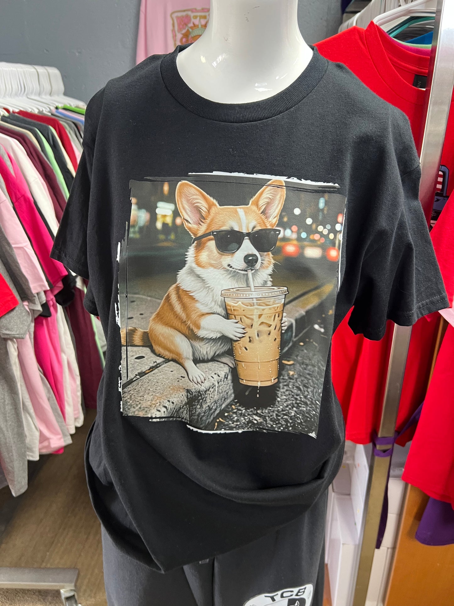 New unisex corgi