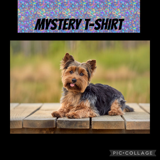 mystery shirt Yorkie