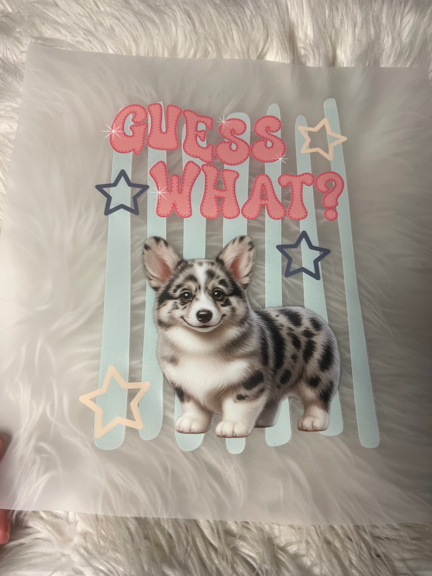 New DTF corgi