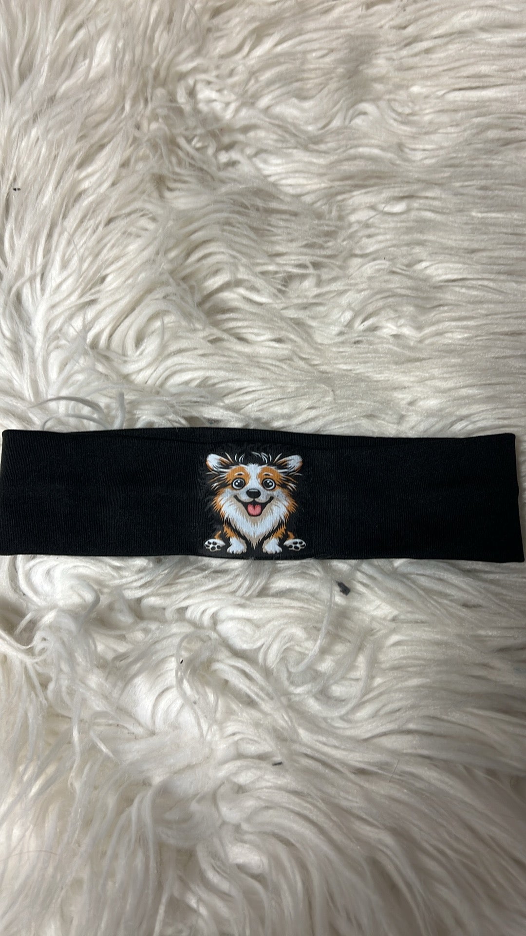 New corgi, black headband 