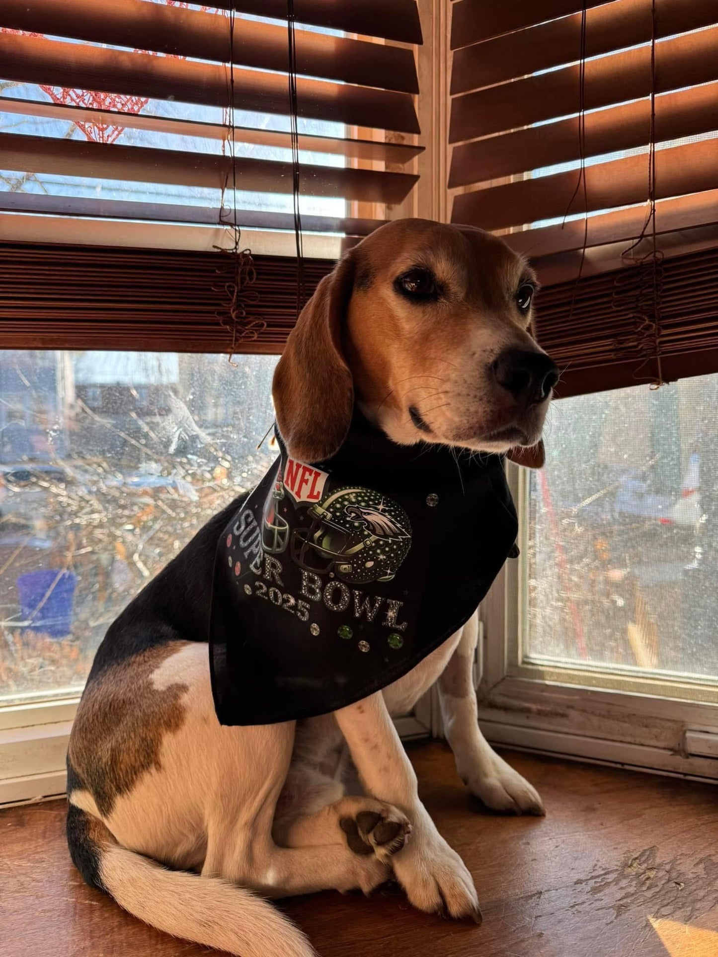 TCB dog bandanna 