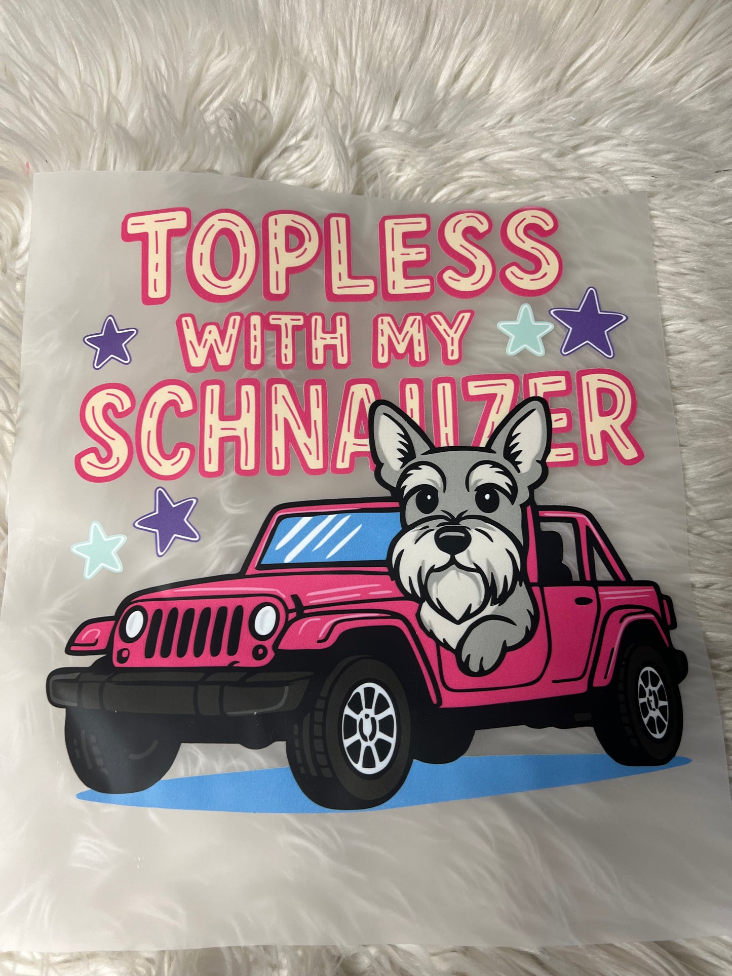 New DTF schnauzer 