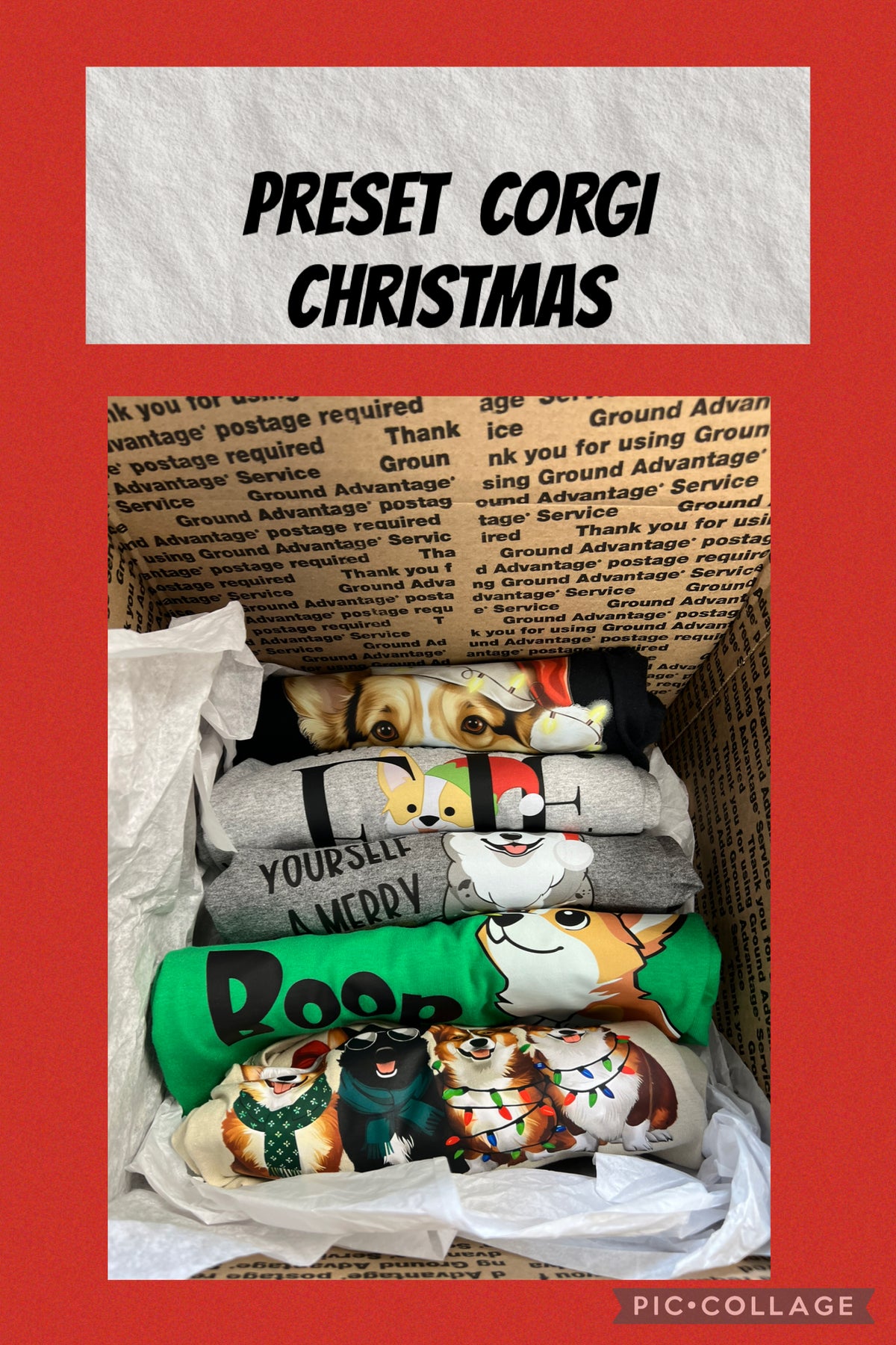 Pre-set Mystery five T-shirts bundle Christmas corgi