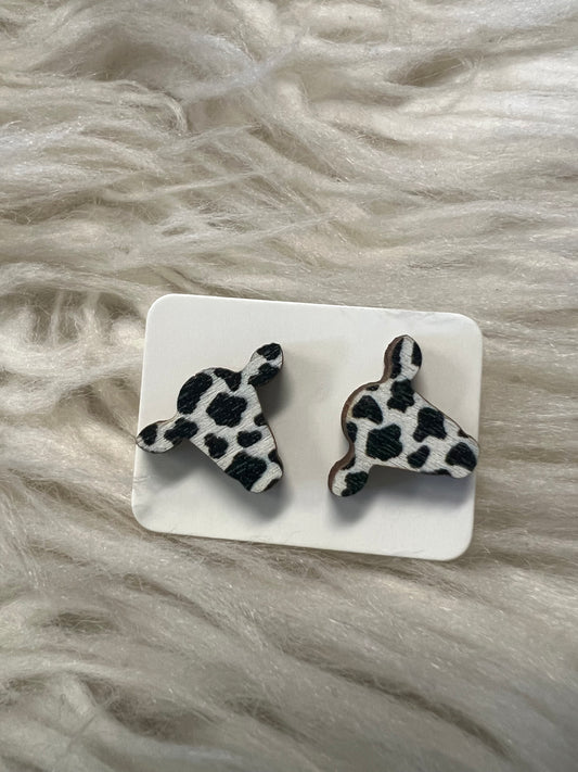 New stud earnings