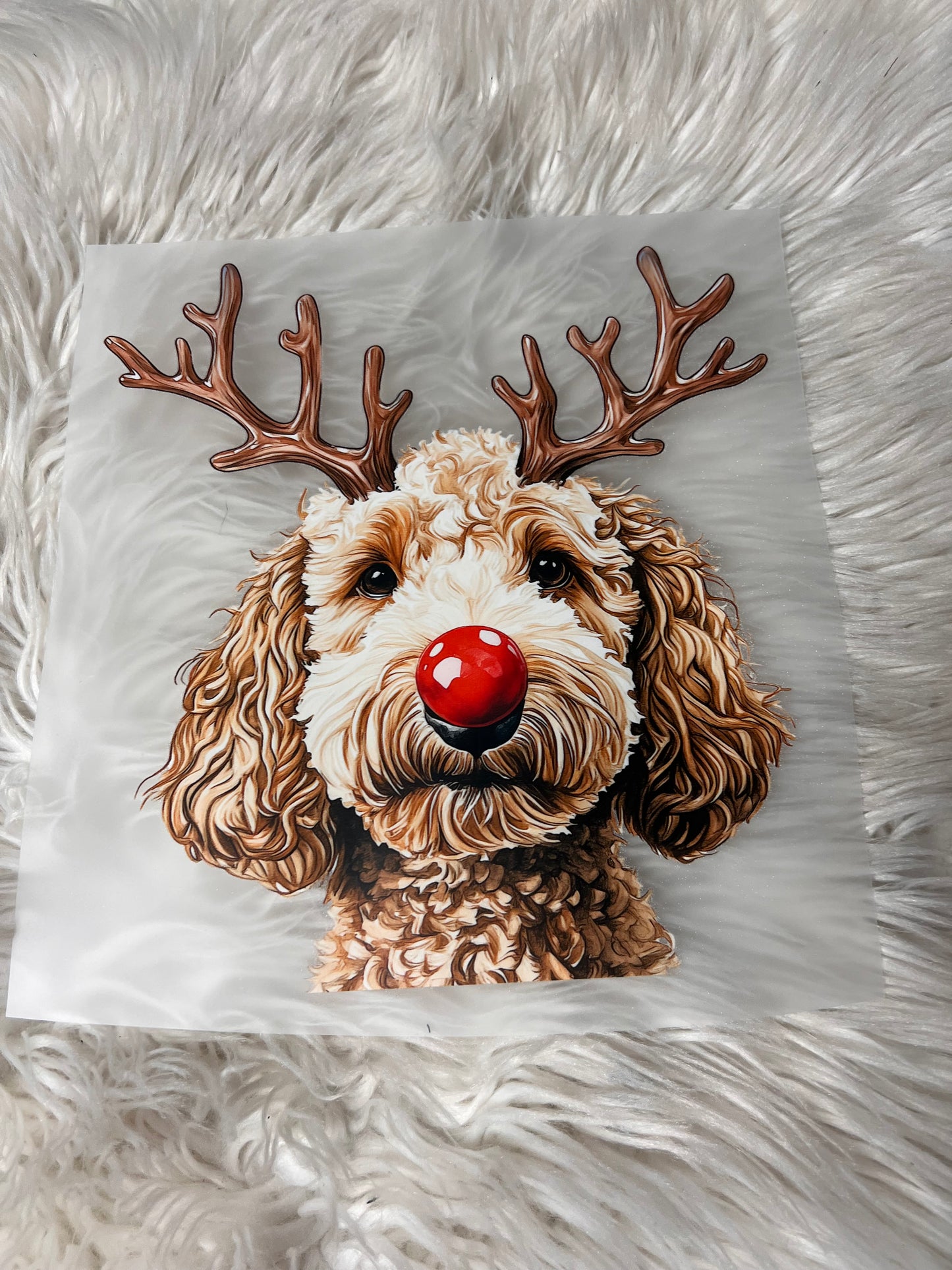 New DTF Christmas doodle/poodle