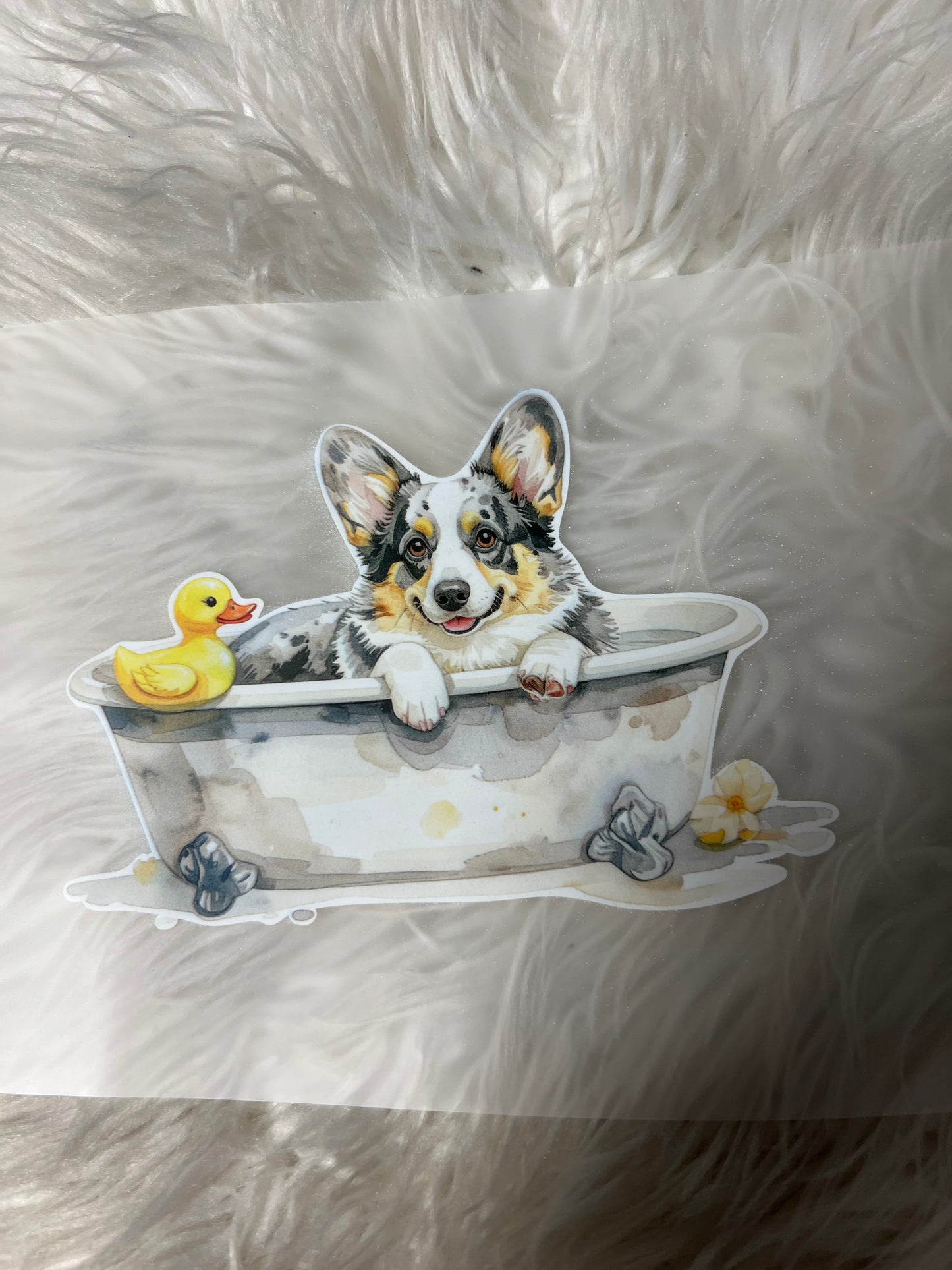 New DTF corgi