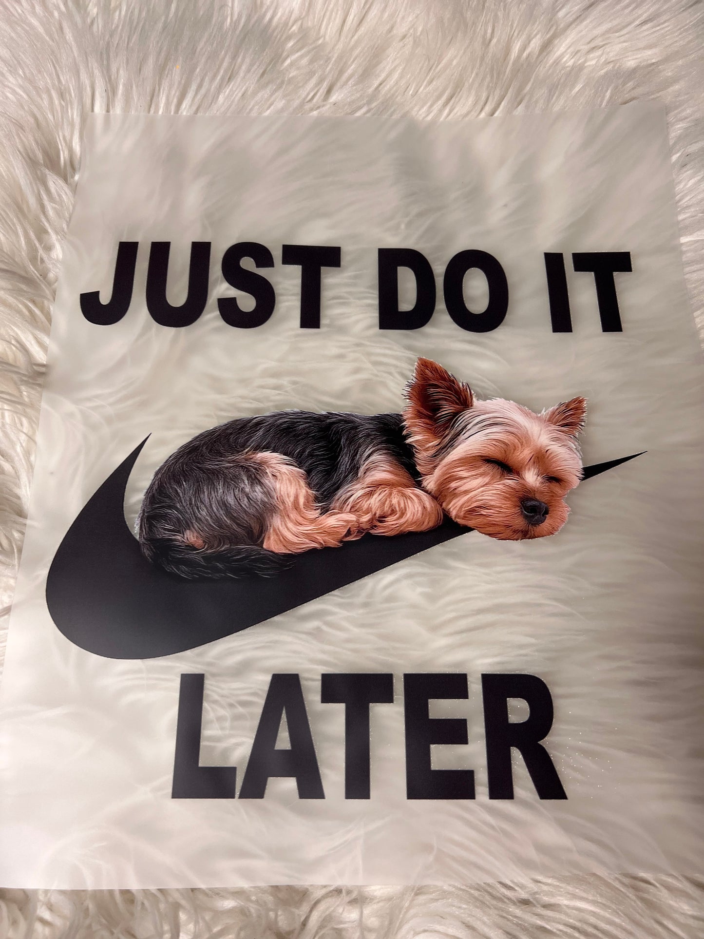 New DTF Yorkie 