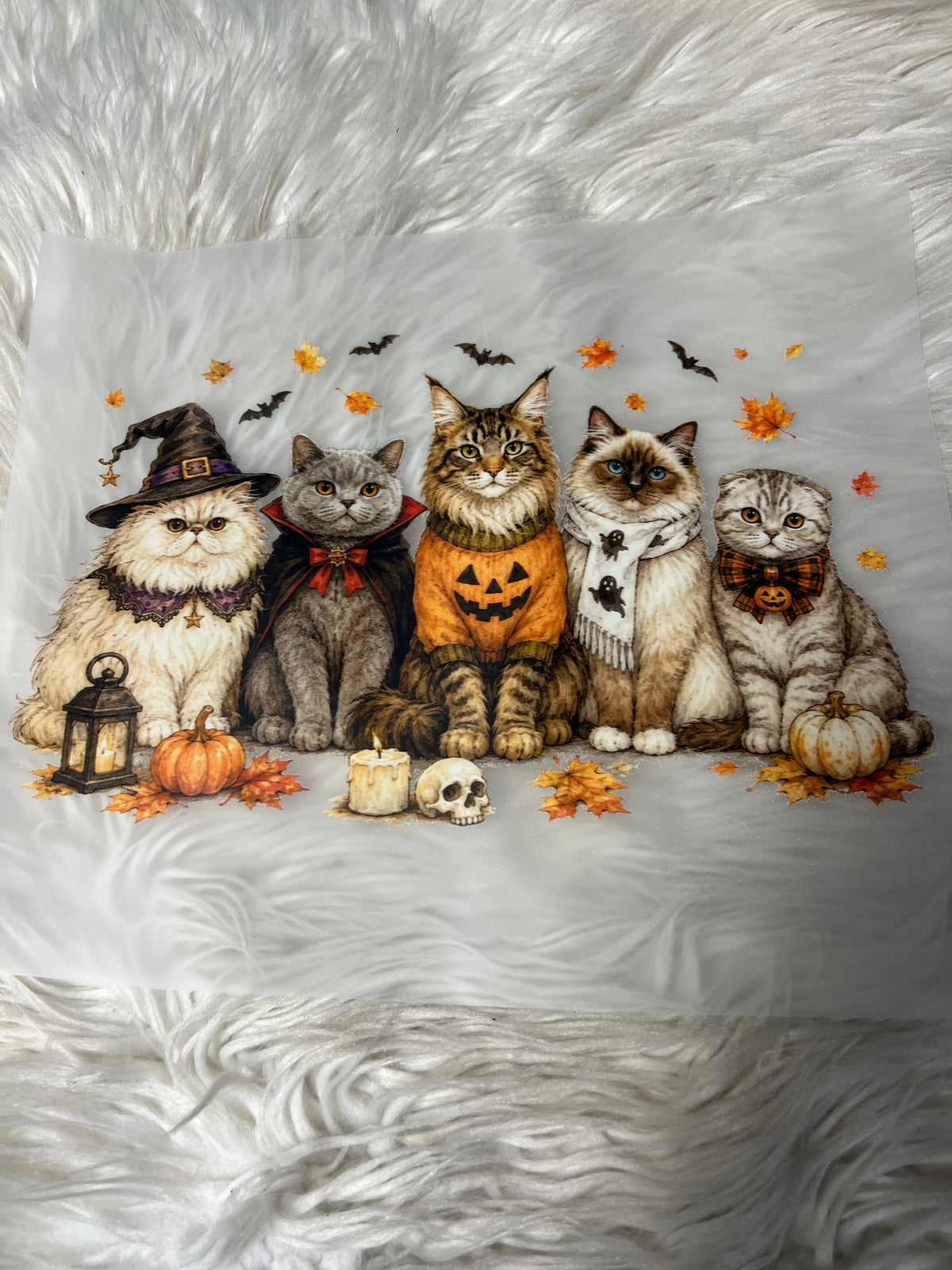 New DTF Halloween cats