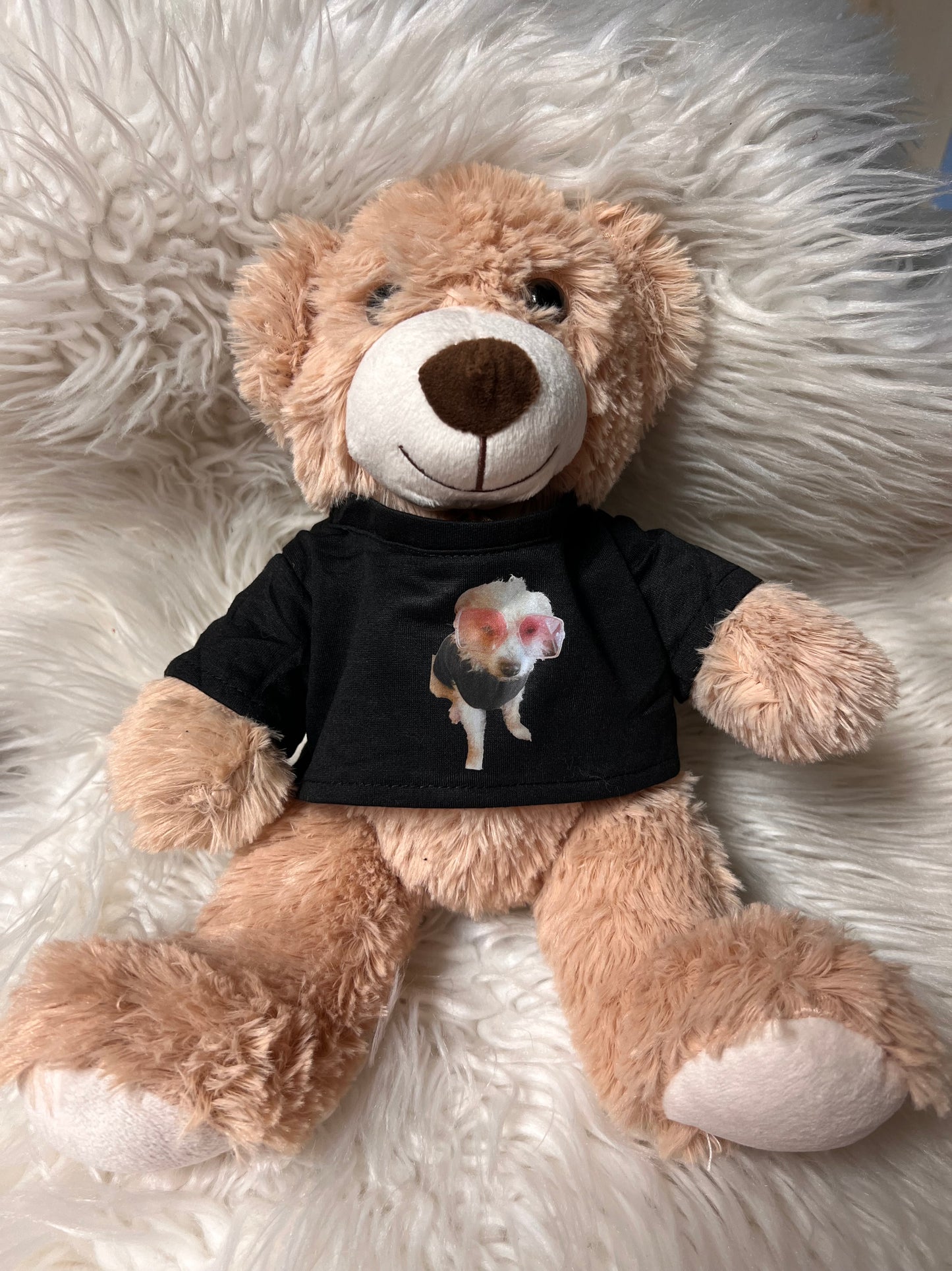 Missy mascot 14 inch teddy bear with shirt