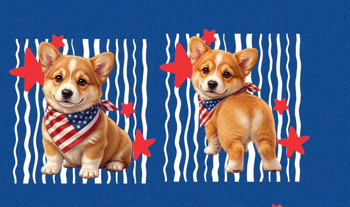 New DTF corgi usa sable