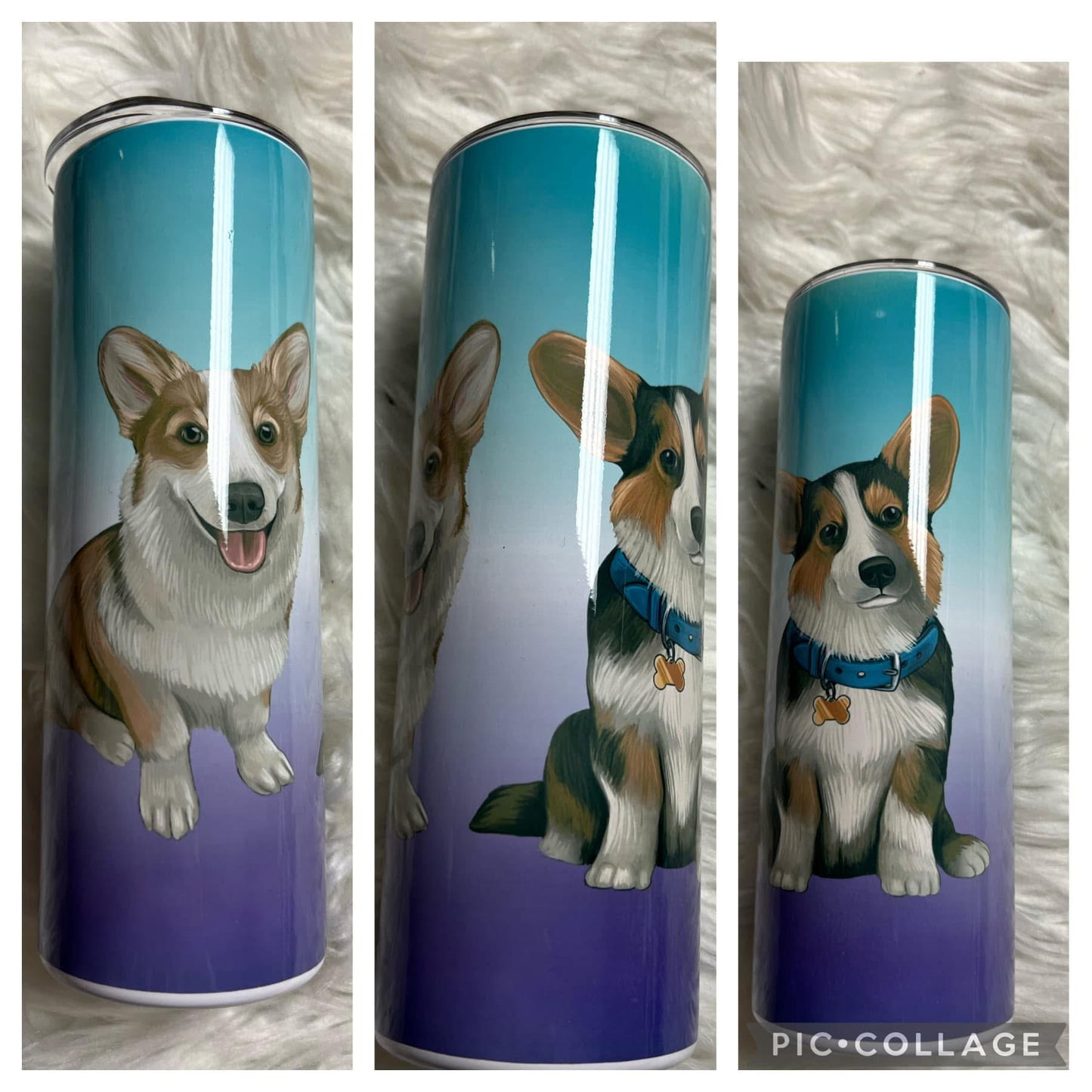 20 ounce Tumblr corgi
