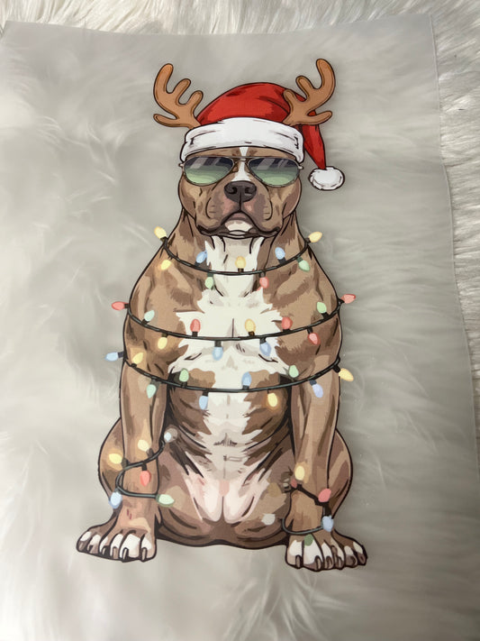 New DTF Christmas pitbull