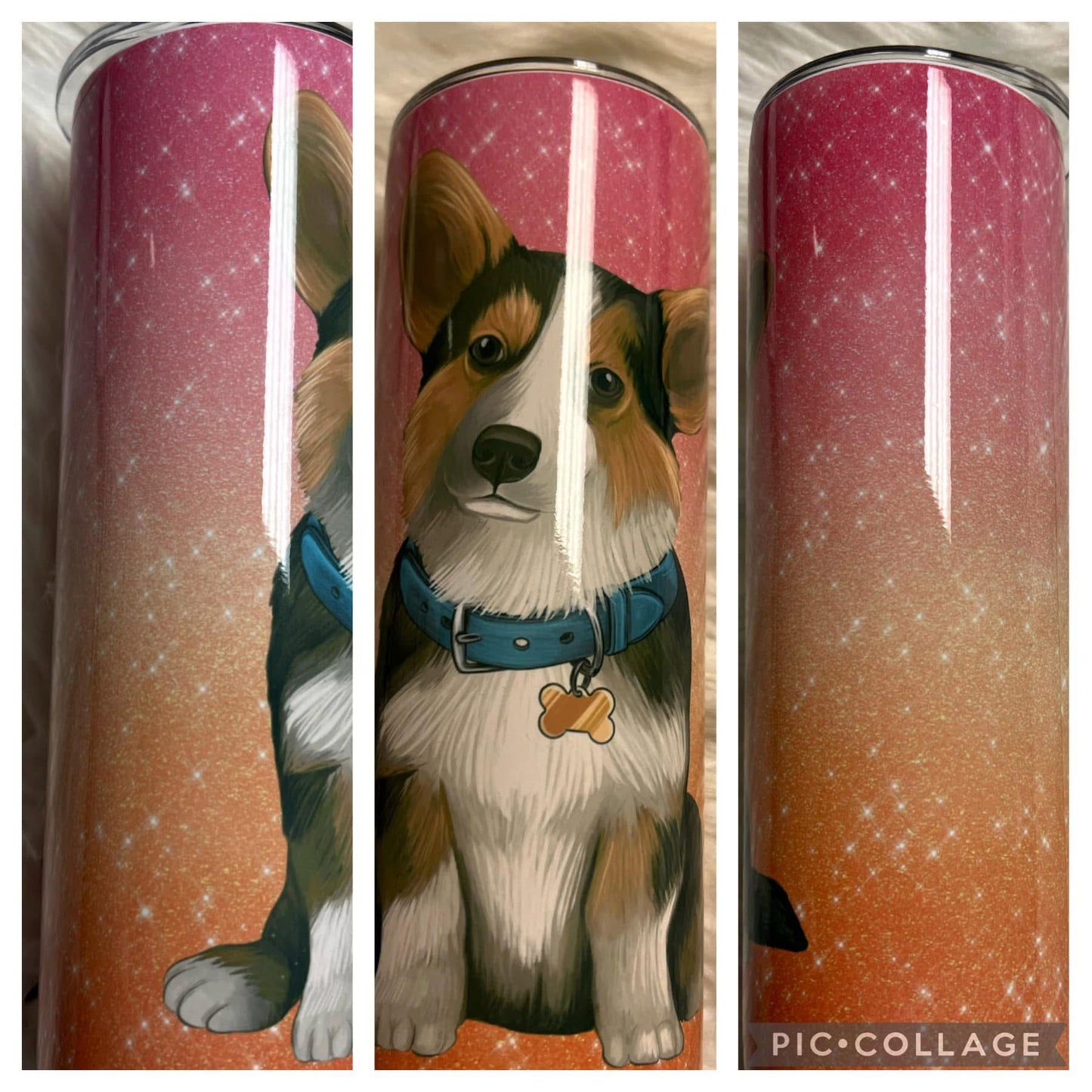 20 ounce Tumblr corgi