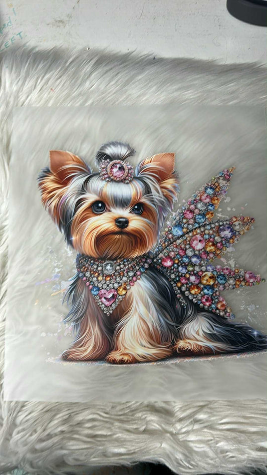 New DTF Yorkie