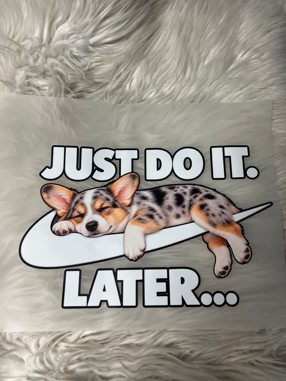 New DTF corgi