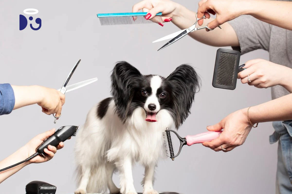 Dog groomer