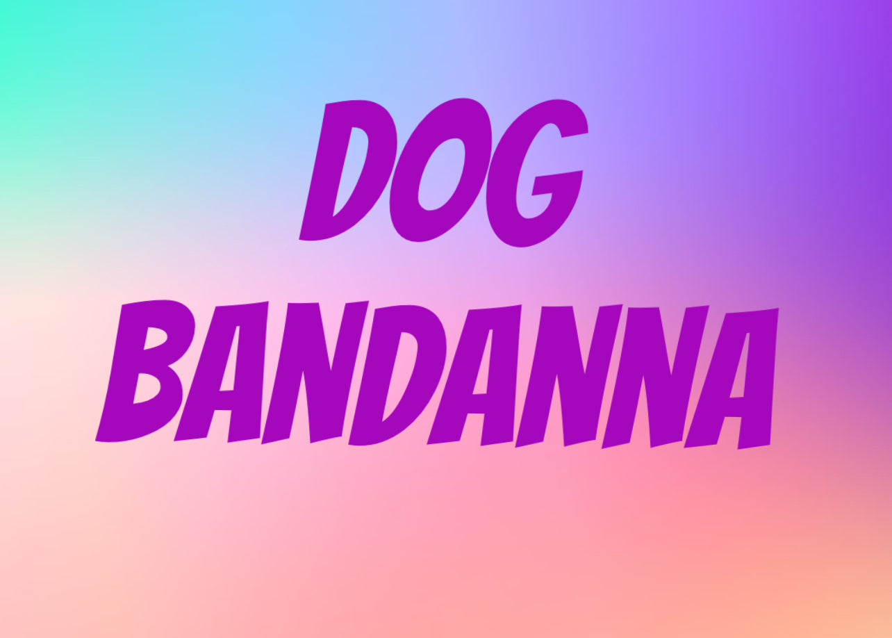Dog bandanna