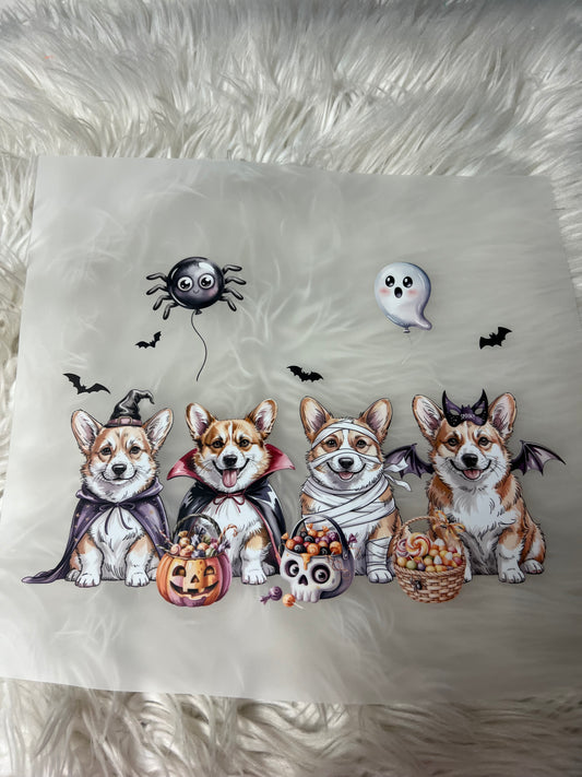 New DTF corgi Halloween
