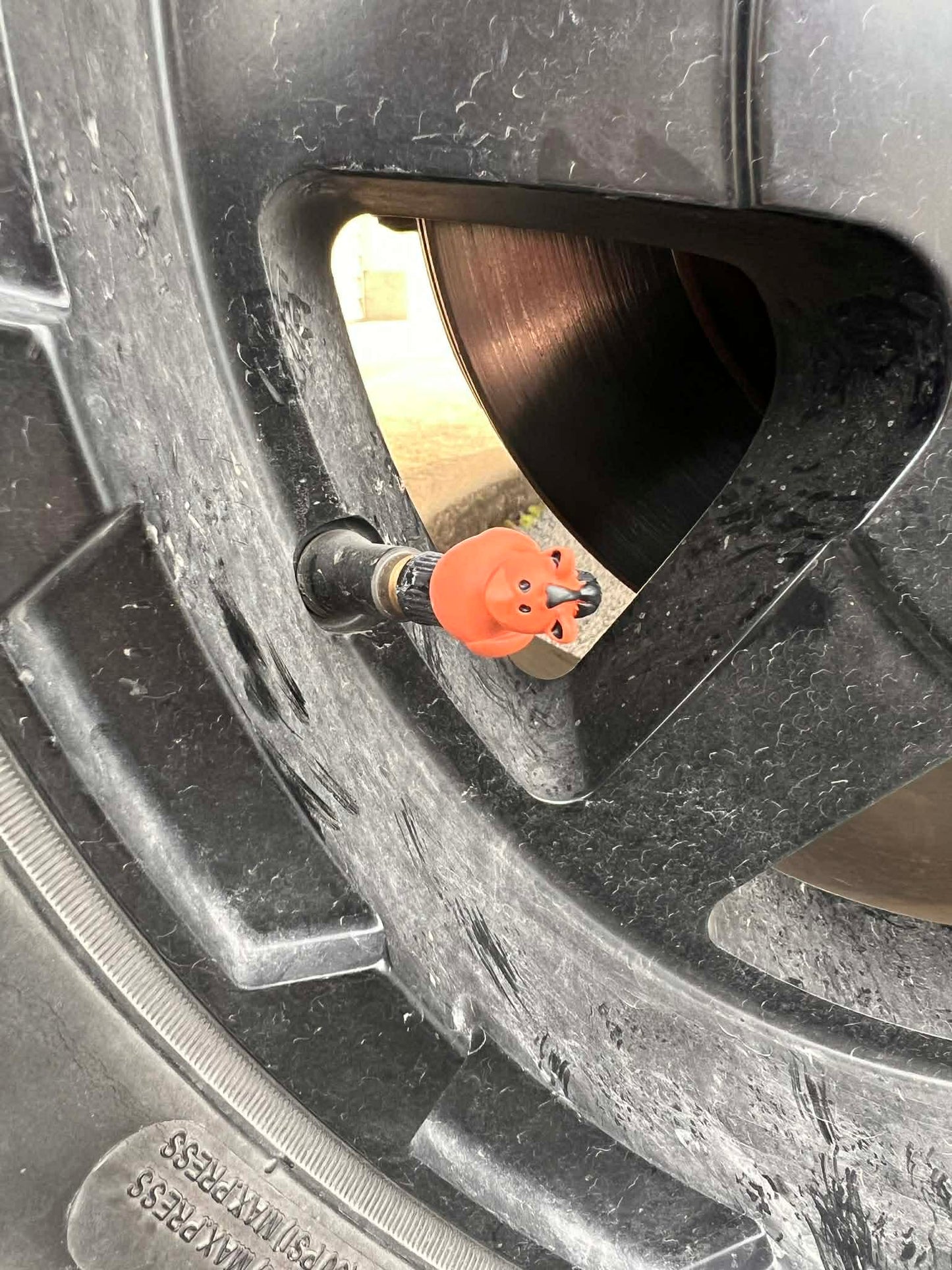 New Valve stem covers for tires (5 pieces per pack)￼