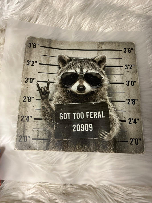 New DTF jail raccoon
