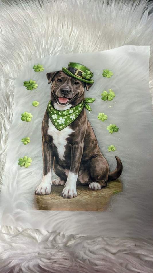 New DTF st. Patrick’s