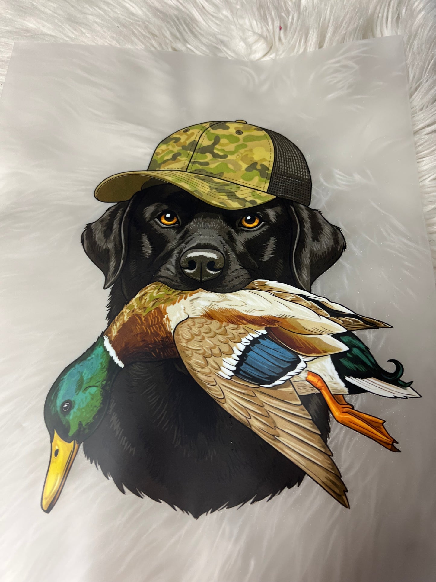 New DTF hunting