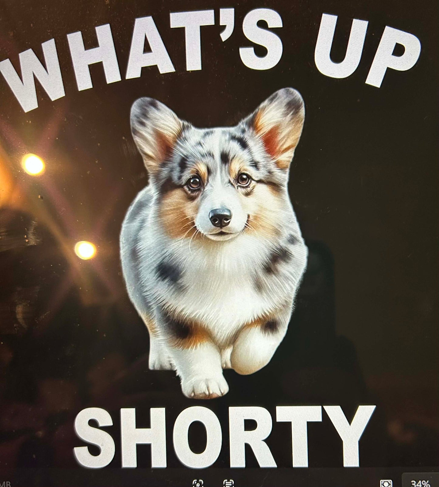 New DTF corgi