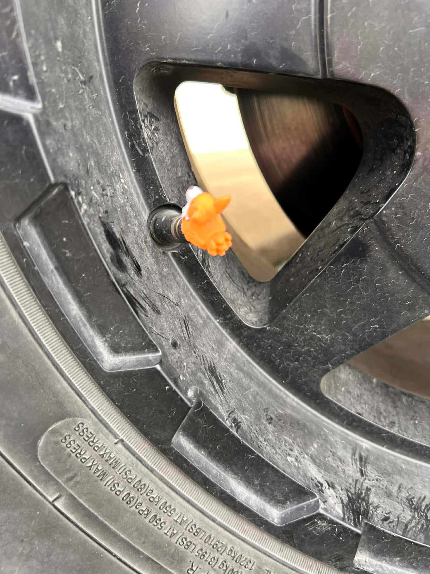 New Valve stem covers for tires (5 pieces per pack)￼