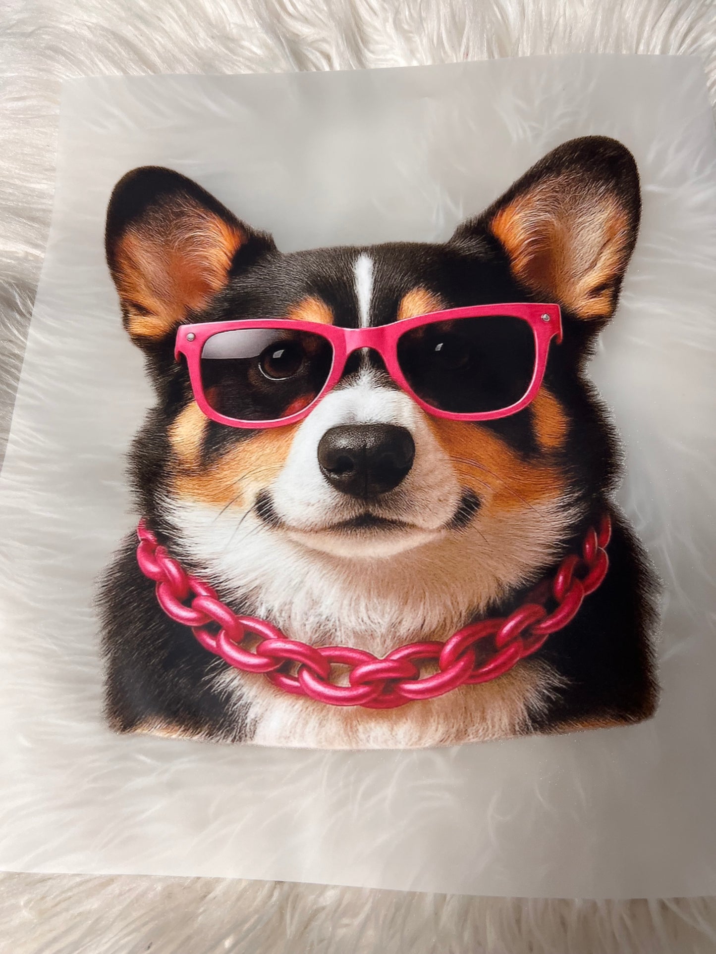 New DTF  corgi