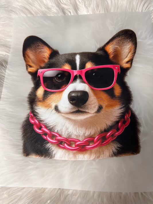 New DTF  corgi