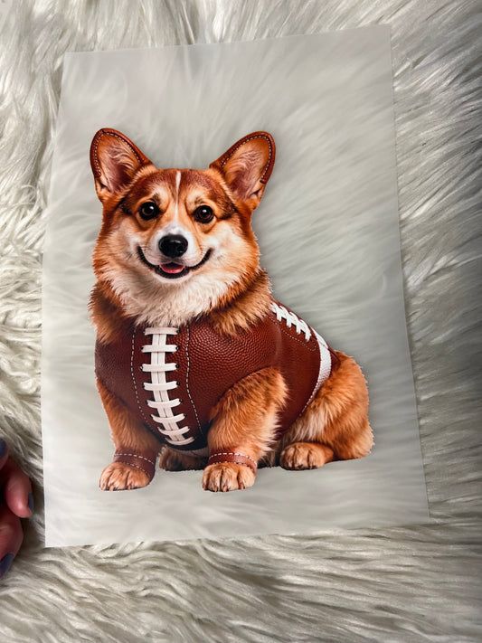 New DTF  corgi