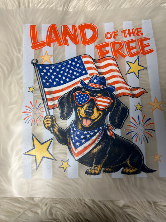 New DTF USA dachshund land of the free ￼