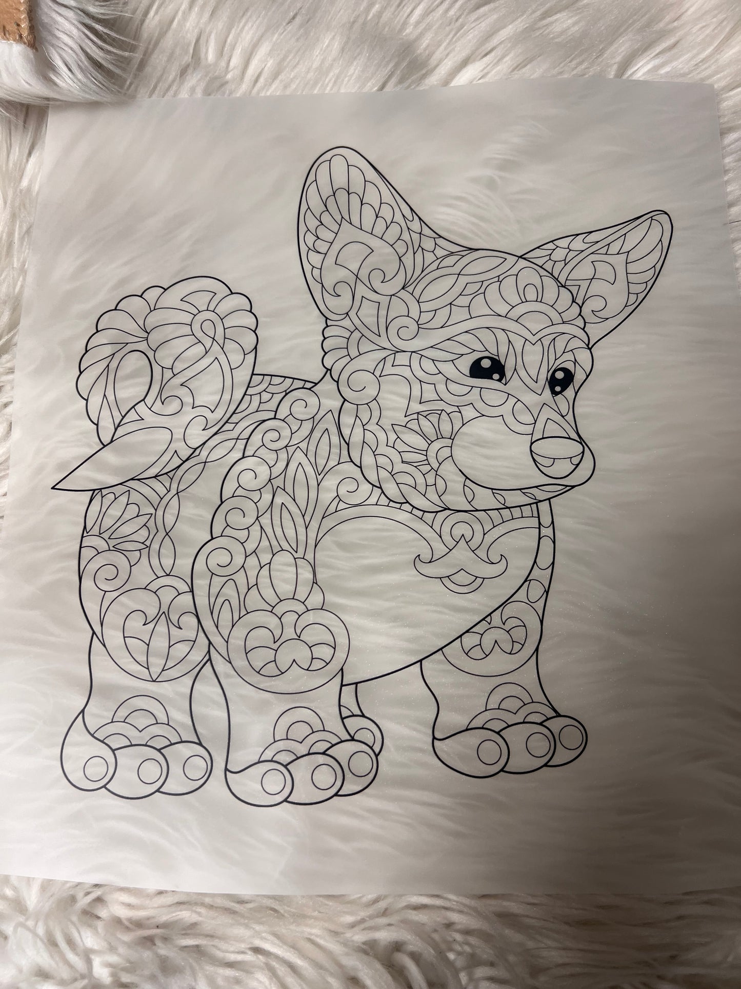 New DTF corgi with a tag