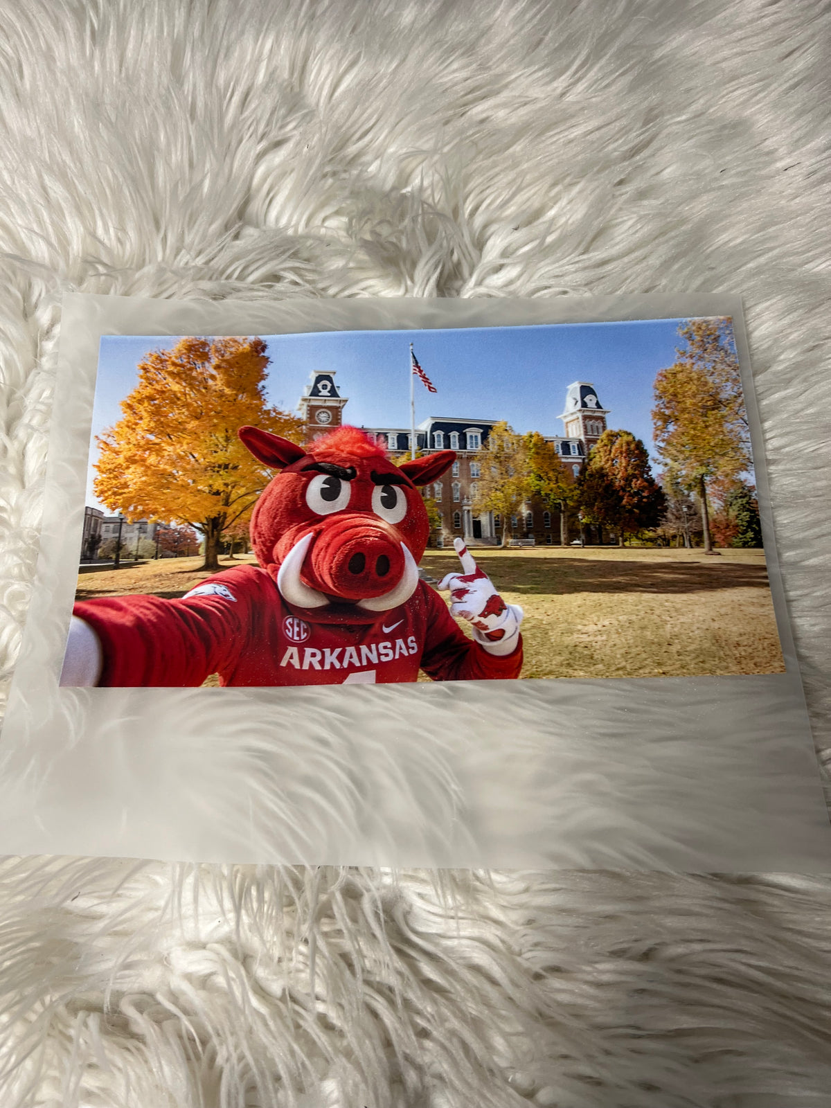New DTF Arkansas