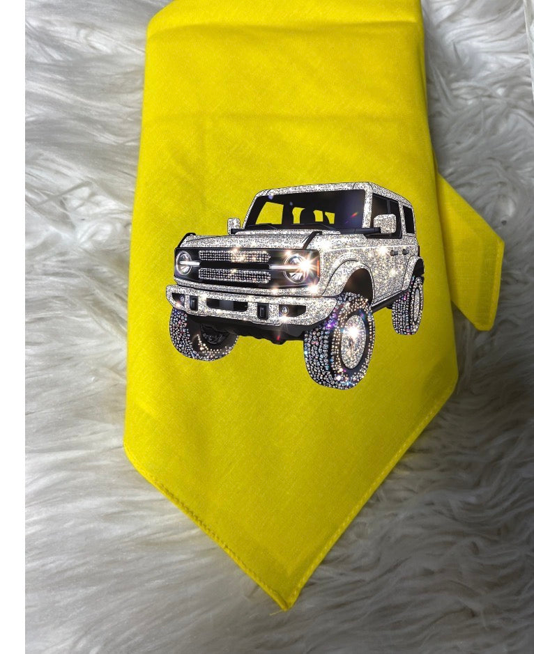 New dog bandanna