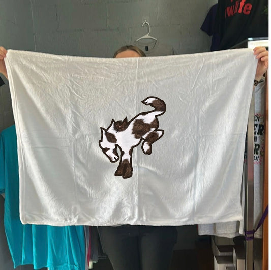 Blanket