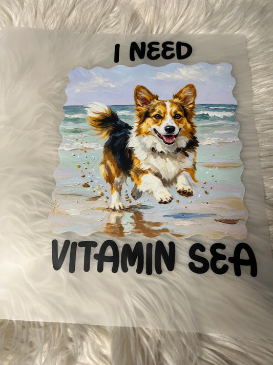 New DTF corgi
