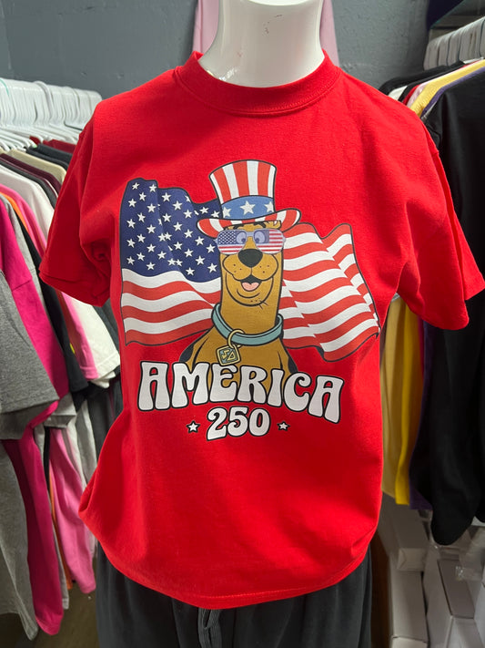 New youth unisex usa