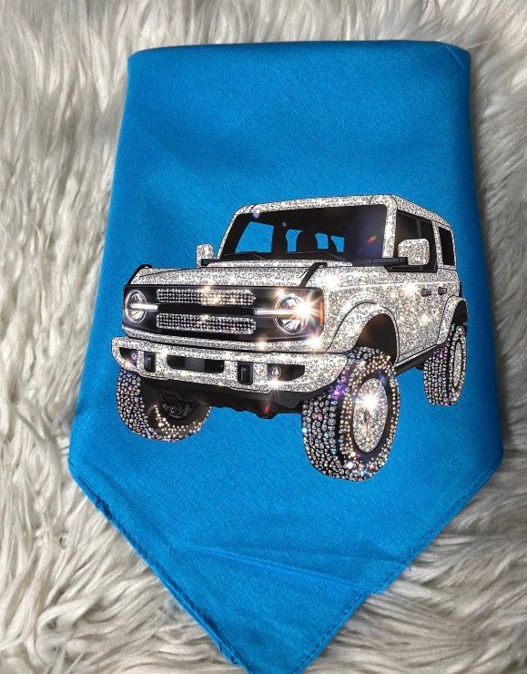 New dog bandanna