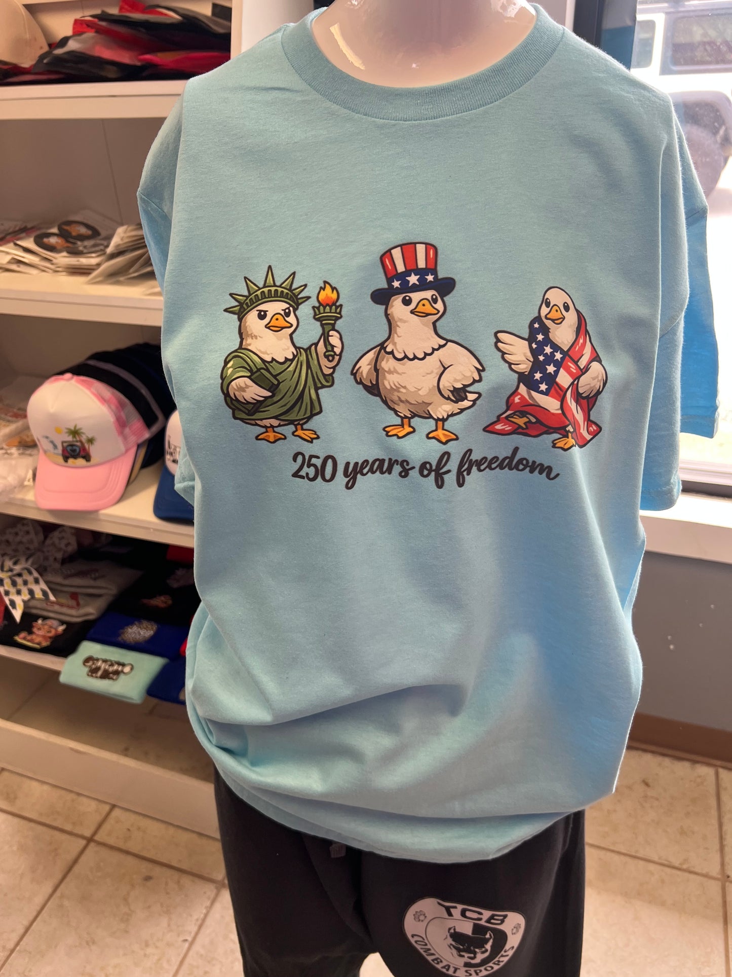 New  unisex T-shirt 250 anniversary goose ￼