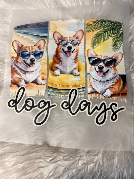 New DTF  corgi