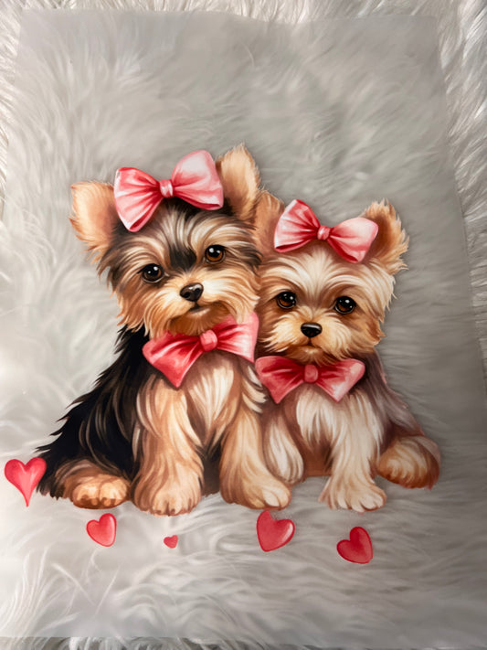 New DTF  Valentine’s Day Yorkie ￼