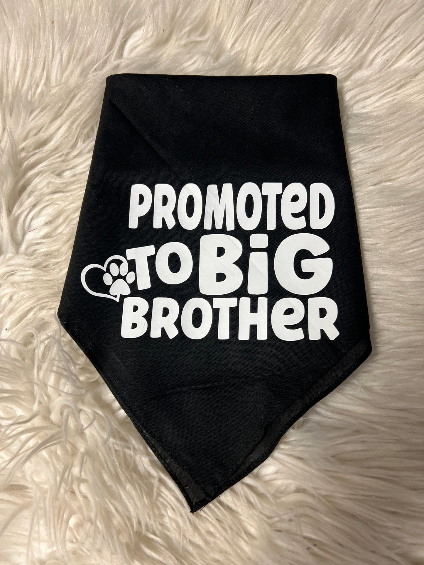 New dog bandanna promoted to big Brother ￼