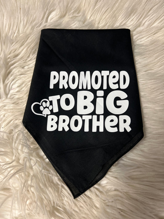 New dog bandanna promoted to big Brother ￼