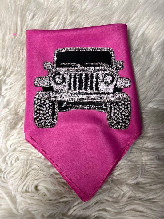New dog bandanna