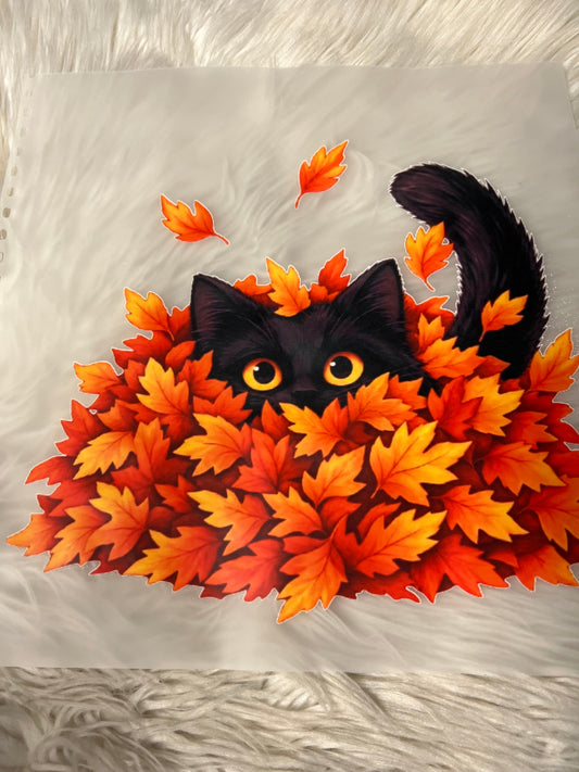 New DTF black cat fall