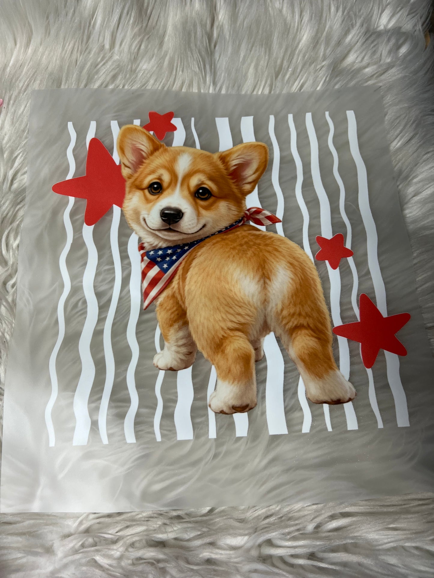 New DTF corgi